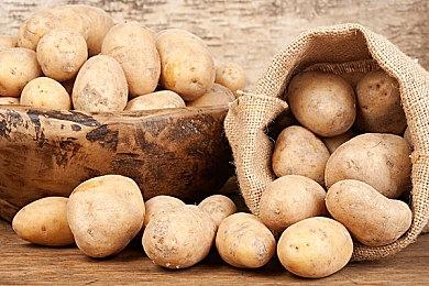 全新Steam家庭功能正式上线：成员共享游戏库